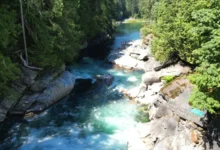 eagle falls washington