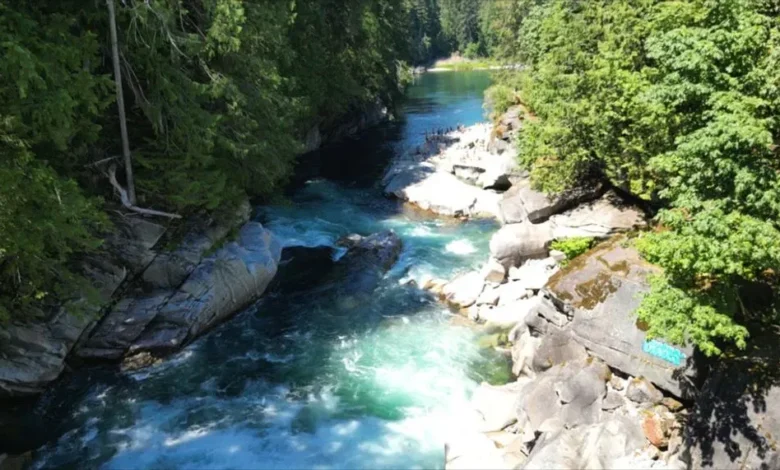 Eagle Falls Washington: A Comprehensive Guide to One of the Evergreen State's Hidden Gems eagle falls washington